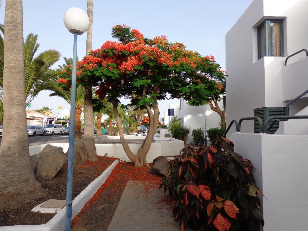 Habitaciones Residencial Corralejo Centro Playa Exterior photo
